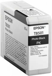 Cartucho EPSON T850100
