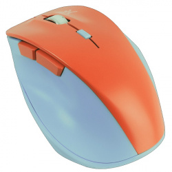 Mouse  PERFECT CHOICE PC-045120